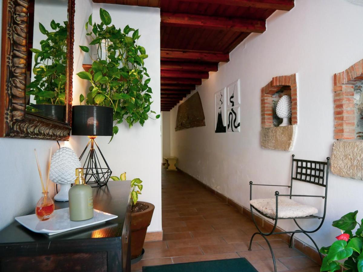 Bed and Breakfast My Friend Antonia Barcellona-Pozzo di Gotto Exteriér fotografie